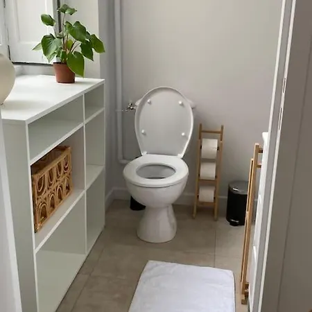 Apartment Plein Centre Lyon